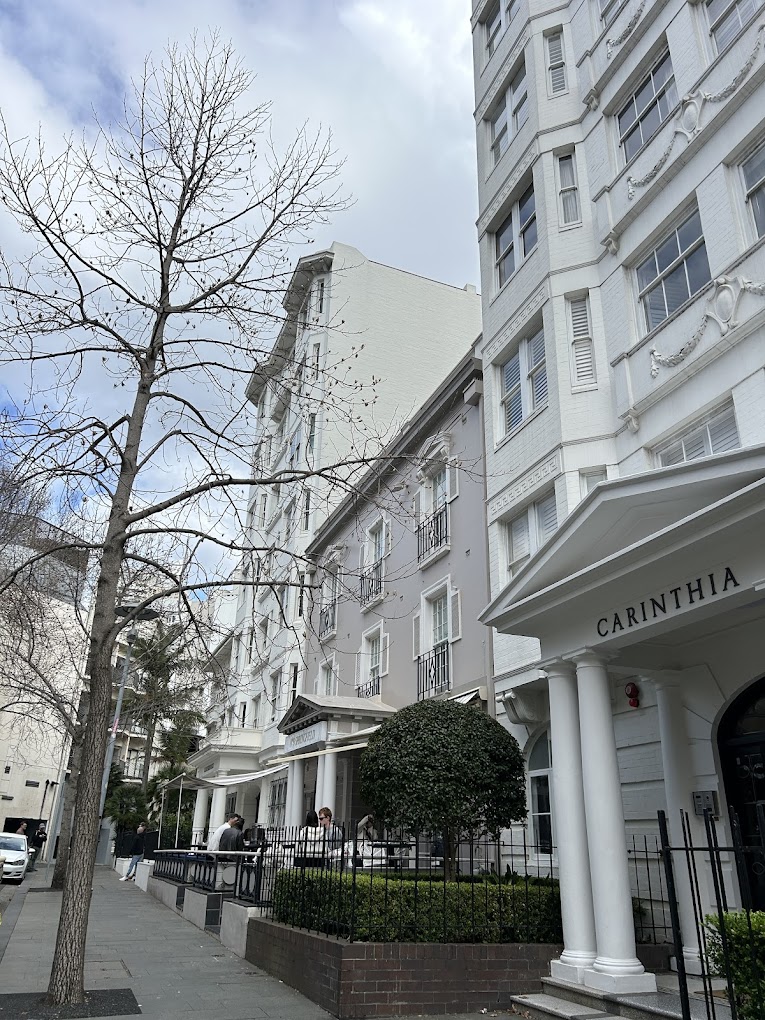 The leafy Springfield Avenue street in Potts Point, with white heritage facades